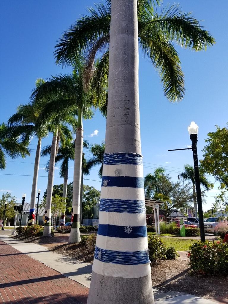 Hannukah Palm Hannukah Palm